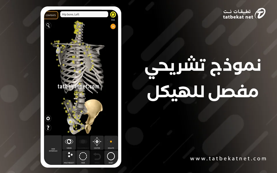 skeleton app
